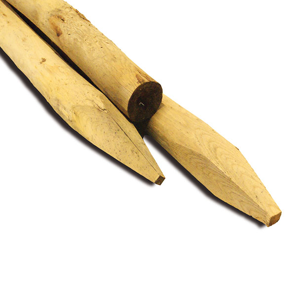 Kastanjepaal 6|8x180cm